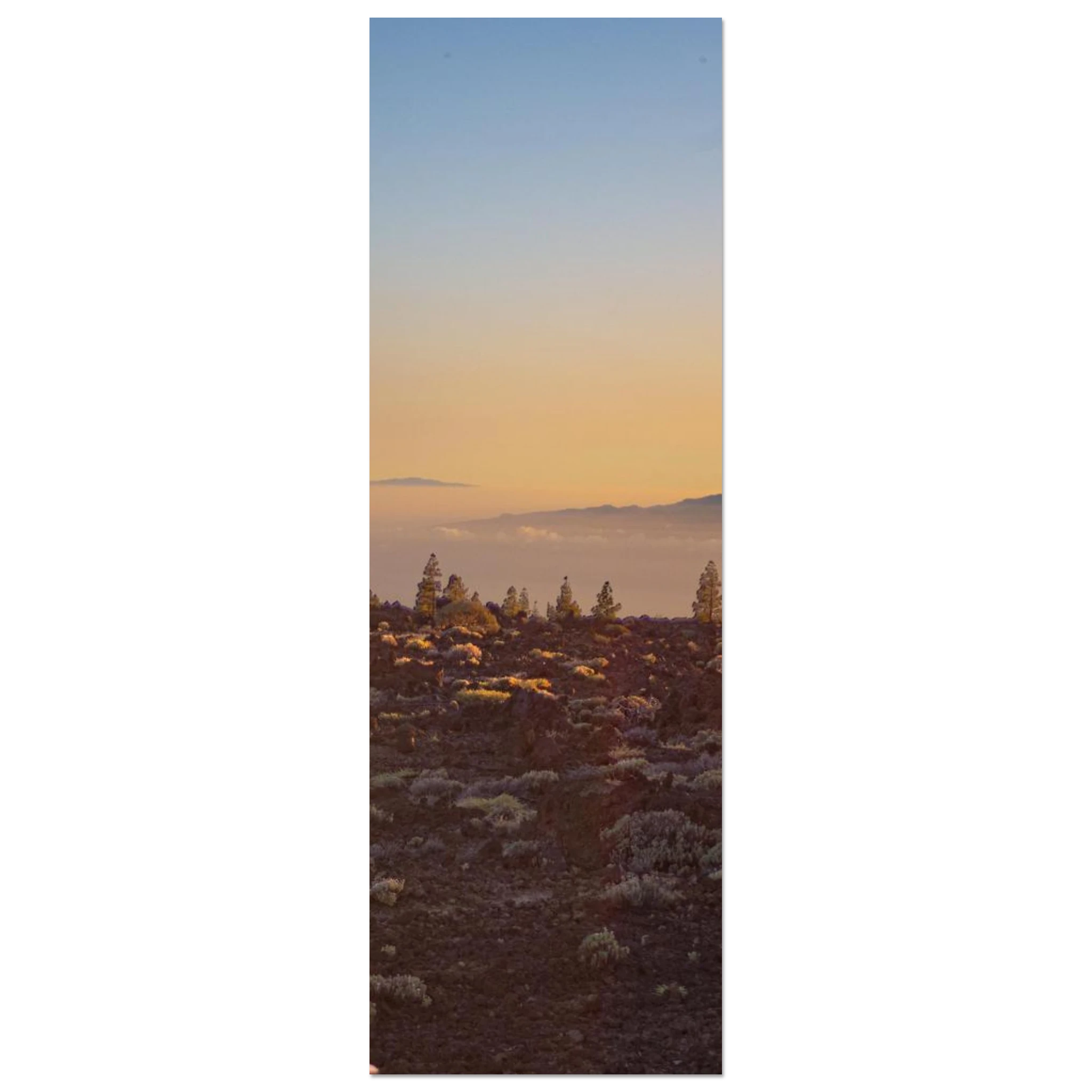 49098181-f4aa-4646-9ee5-a3b445843b04