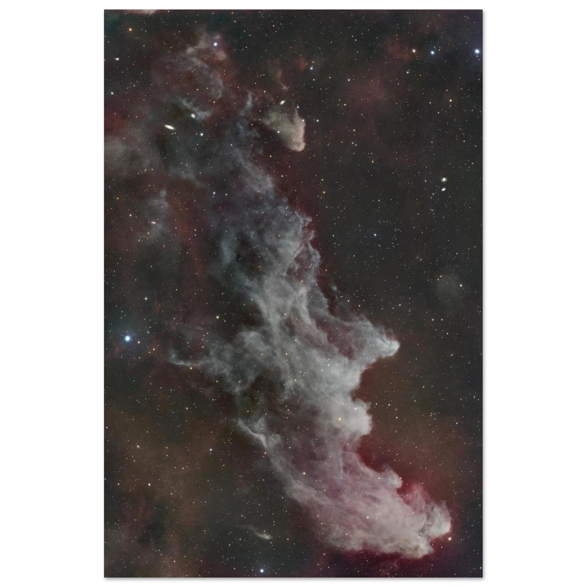 62d7ed32-833f-4815-8290-2b425c06d18a
