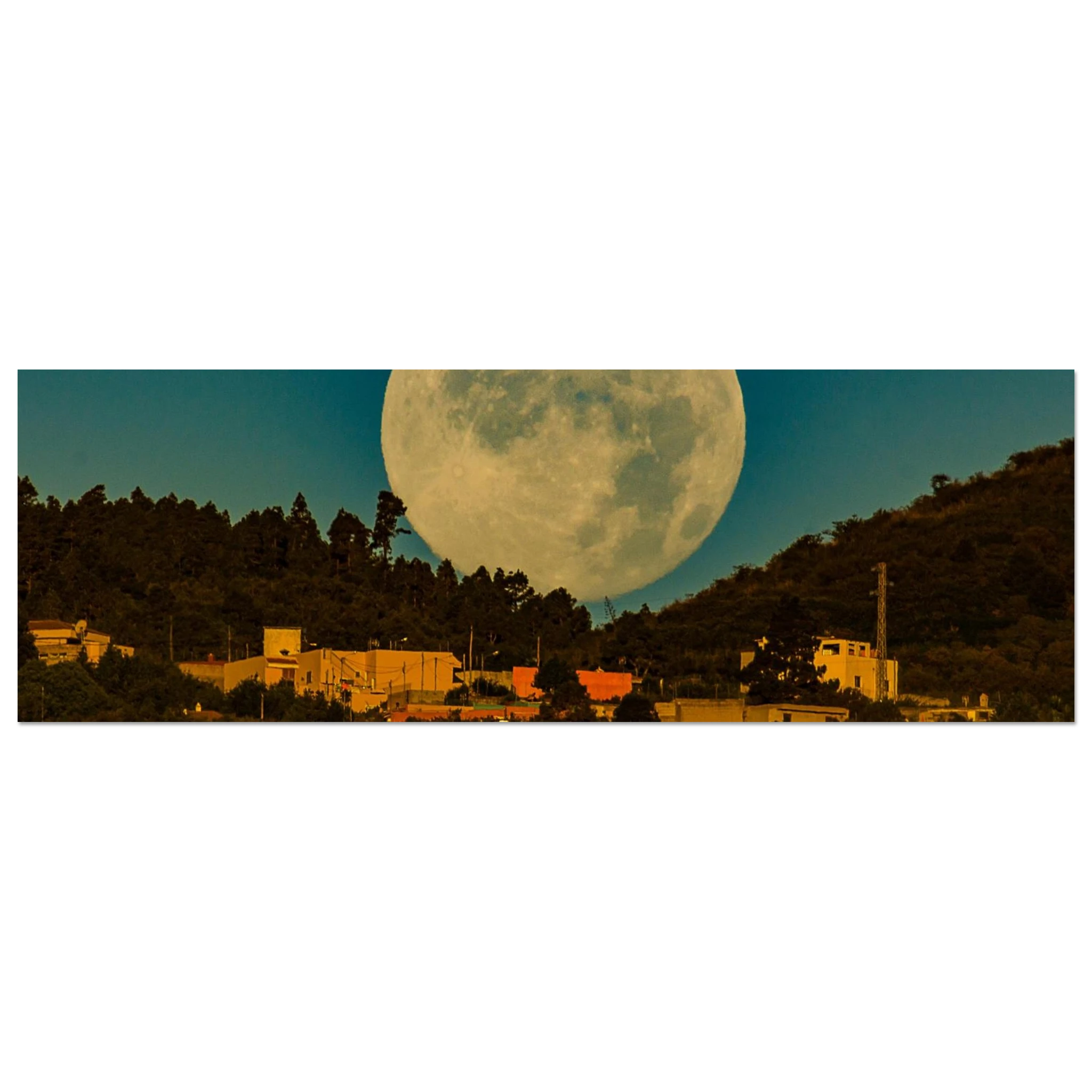 a046534a-549b-4ebb-8b55-ceb8ed1d4211