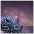 d26be5fb-c167-4538-92b2-0d15b70274c7